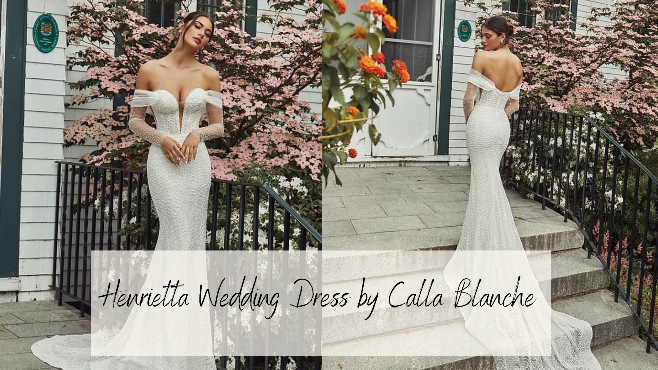 Henrietta Beaded Sparkly Wedding Gown by Calla Blanche Bridal