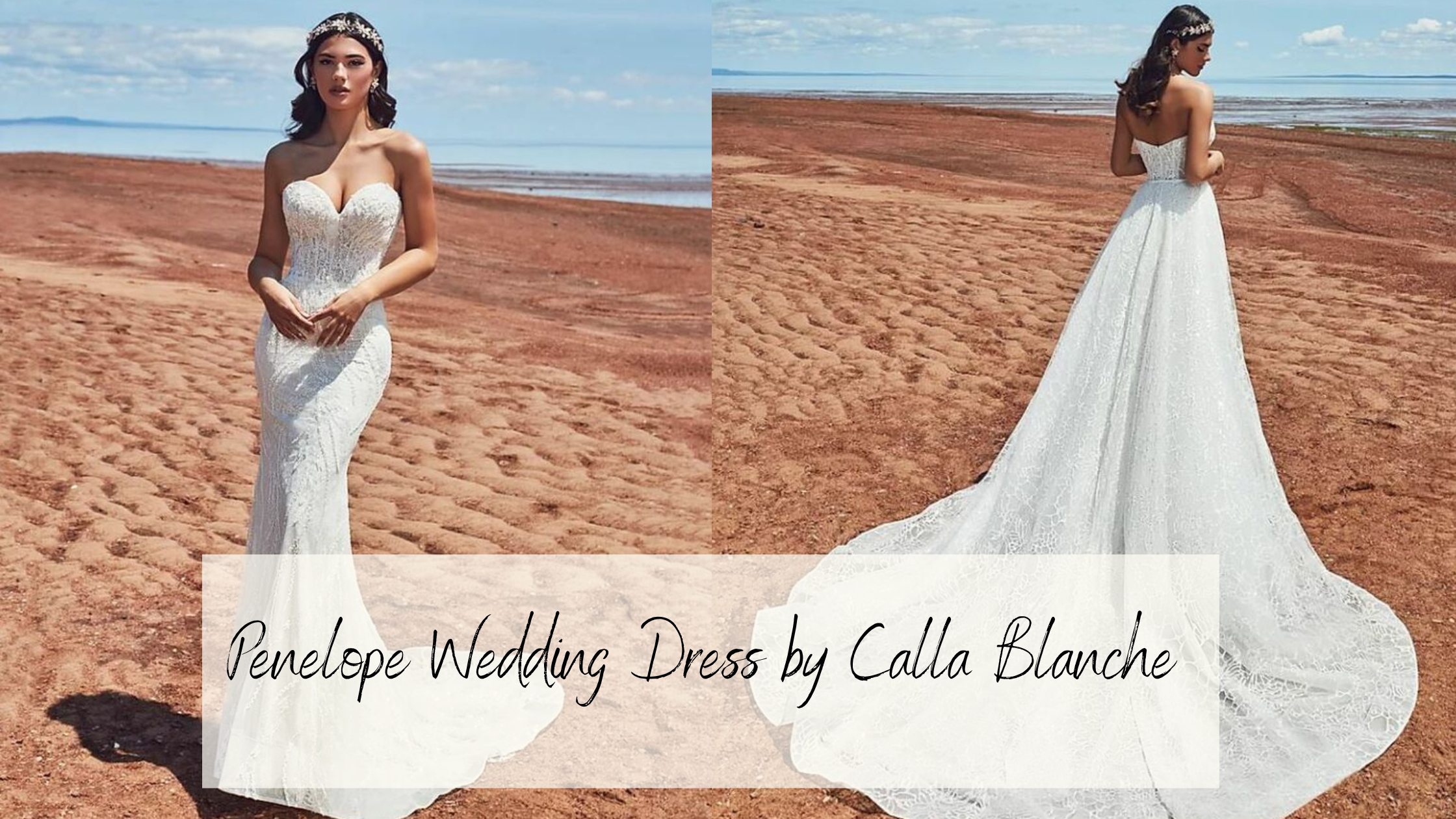 Penelope Mermaid Strapless Sweetheart Beaded Wedding Gown by Calla Blanche Bridal